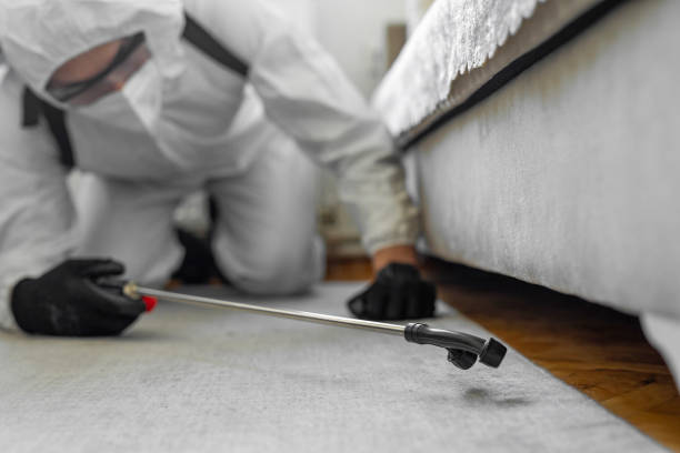 Professional Bed Bug Control technician working in Carey, ID